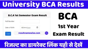bca 1st year result