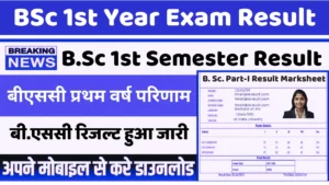 bsc 1st year result