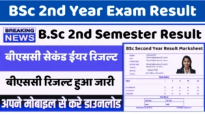 bsc 2nd year result