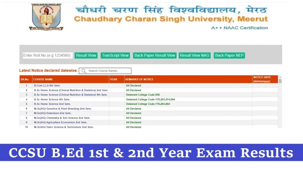 ccsu bed 1st year result