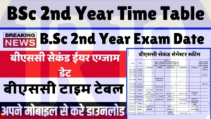 bsc 2nd year time table