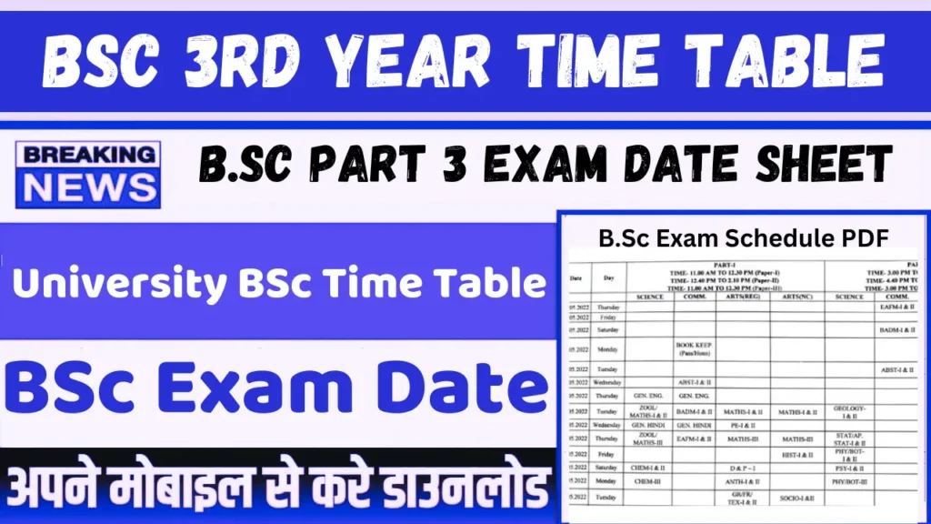 bsc 3rd year time table