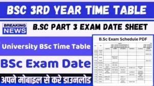 bsc 3rd year time table